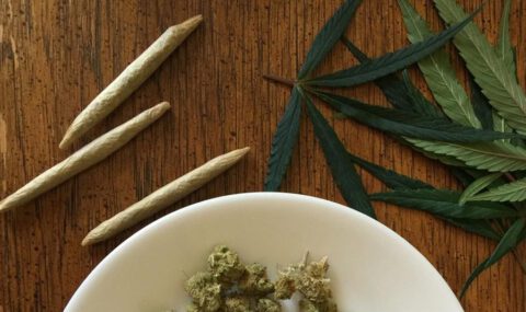 Breed Assortiment Wiet, Hasj, Joints & Edibles in Zeeland